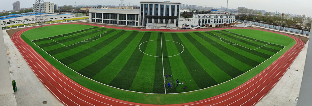 football grass-3.jpg